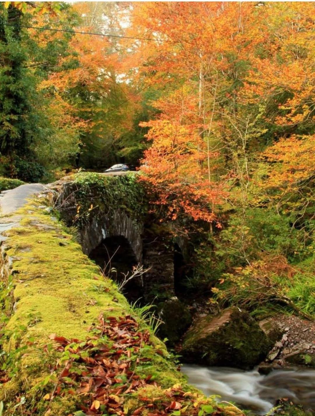 Hostal Glengarriff Hostel Glengarriff